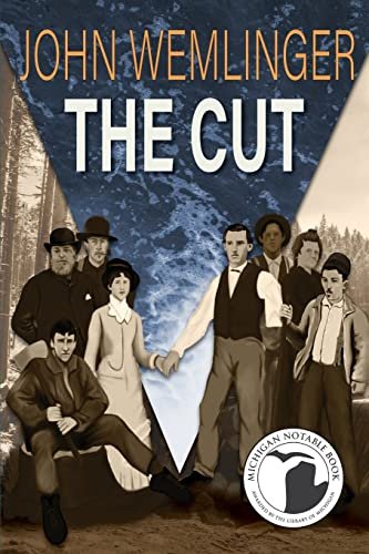 The Cut Book Cover
