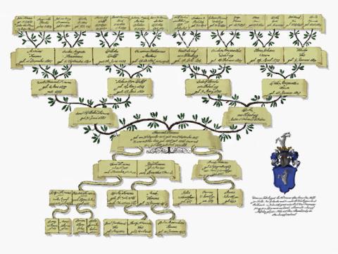 Family tree of scrolls with branches and leaves connecting them