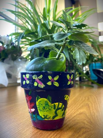 Paint a pot!